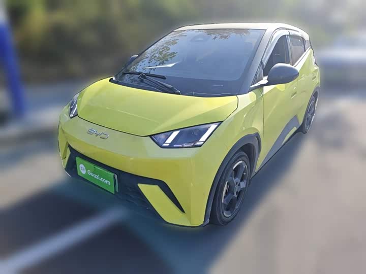 Фото 2 - BYD Seagull