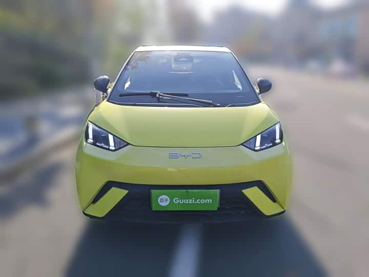 Фото 3 - BYD Seagull