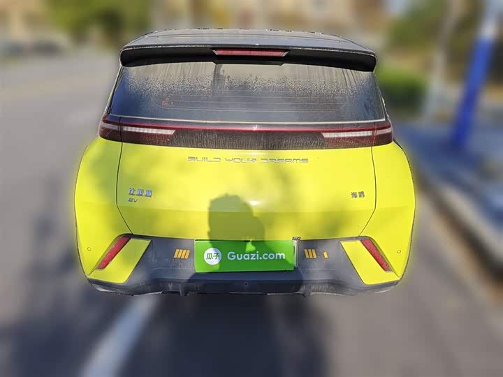 Фото 6 - BYD Seagull