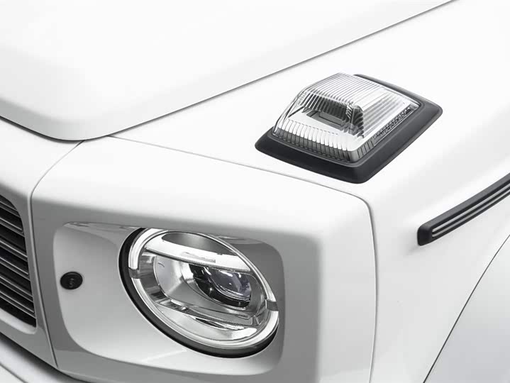 Фото 10 - Mercedes-Benz G-Class