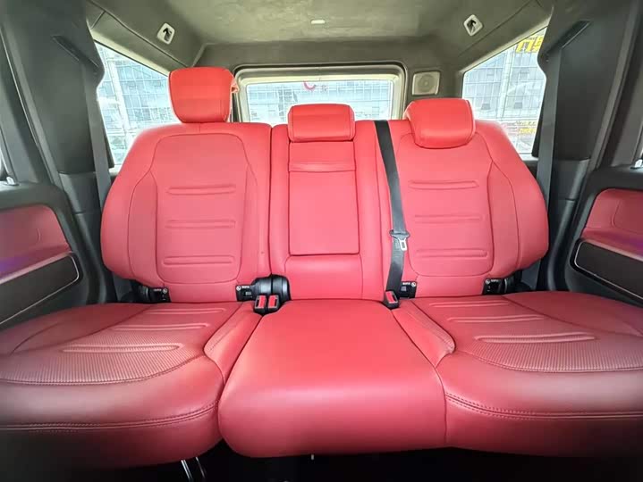 Фото 23 - Mercedes-Benz G-Class