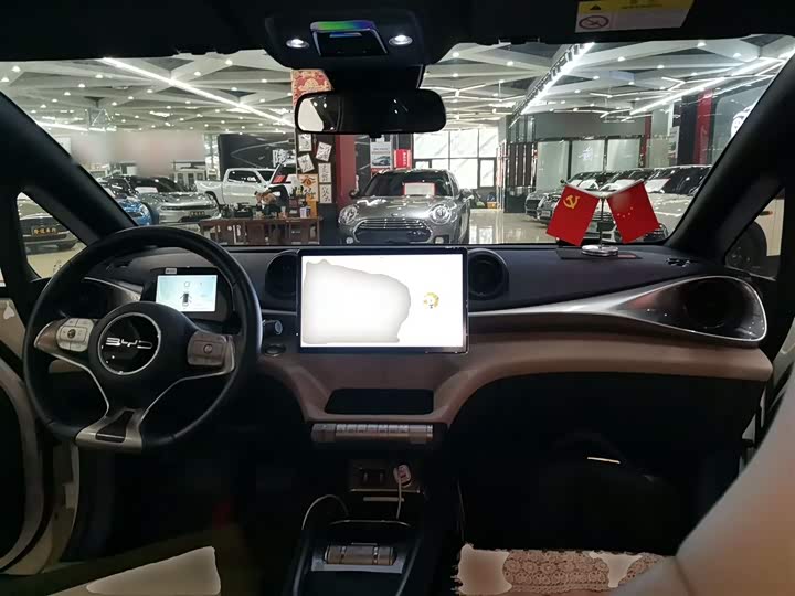 Фото 10 - BYD Dolphin