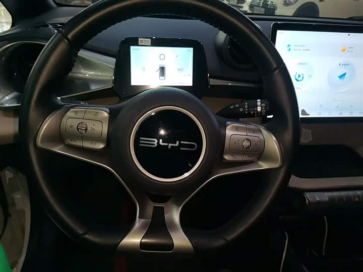 Фото 11 - BYD Dolphin