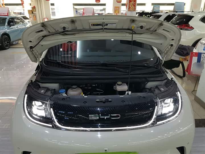 Фото 20 - BYD Dolphin