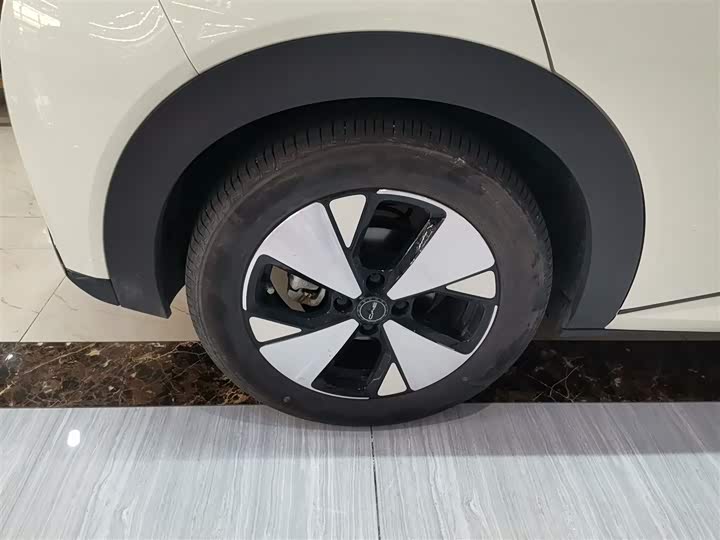 Фото 26 - BYD Dolphin