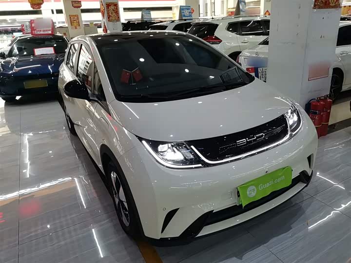 Фото 4 - BYD Dolphin