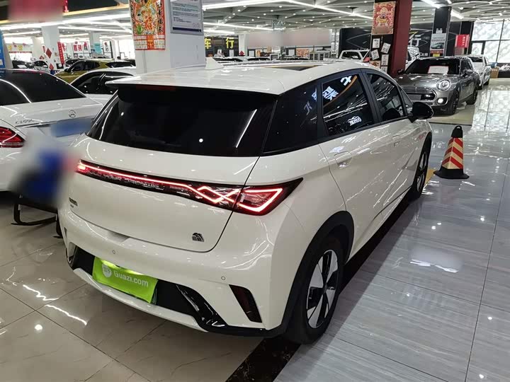 Фото 7 - BYD Dolphin