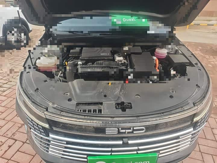 Фото 22 - BYD Destroyer 05