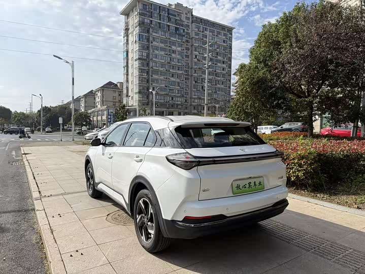 Фото 10 - Hozon X