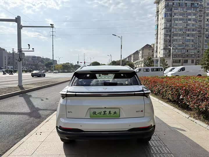 Фото 9 - Hozon X