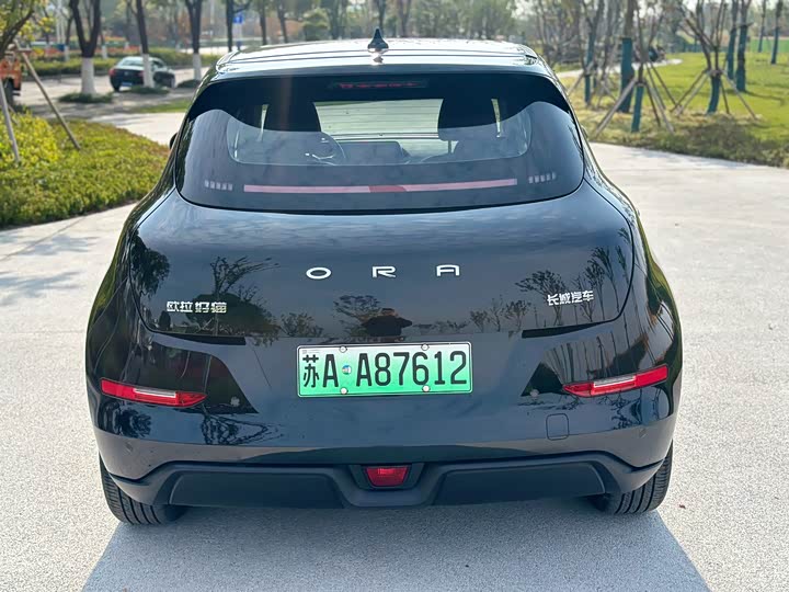 Фото 8 - Ora Good Cat (03)