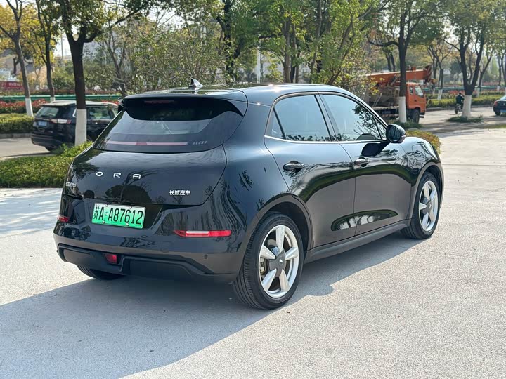 Фото 9 - Ora Good Cat (03)