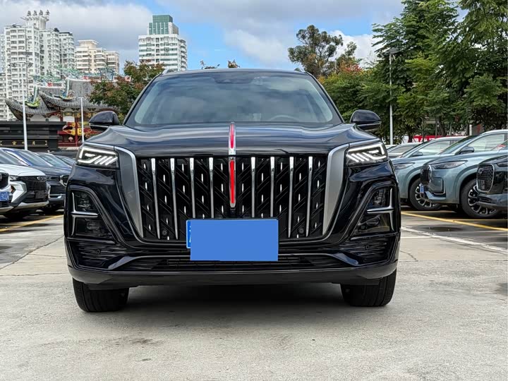 Фото 2 - Hongqi HS5