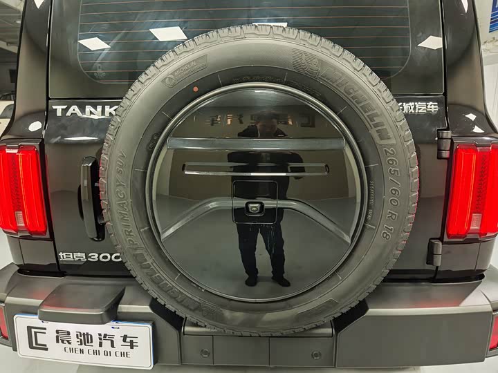 Фото 18 - Tank 300