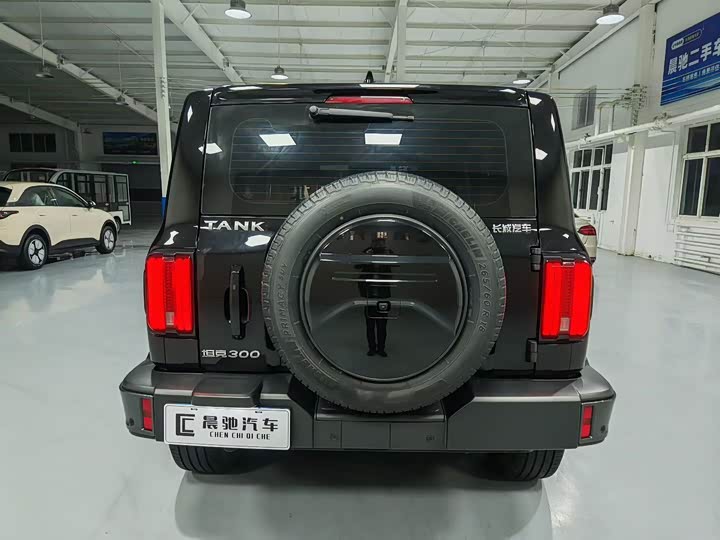 Фото 5 - Tank 300