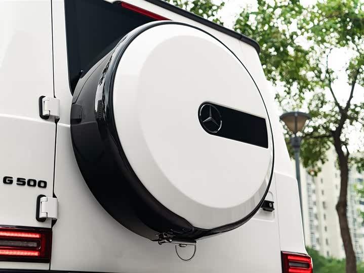 Фото 12 - Mercedes-Benz G-Class