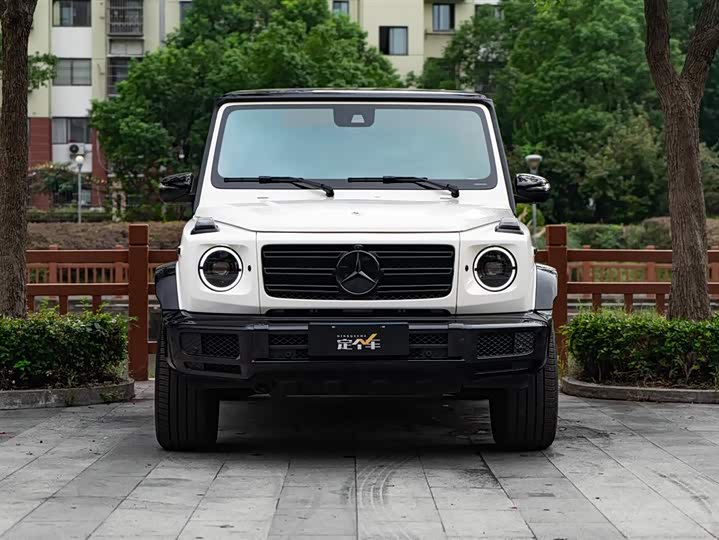 Фото 2 - Mercedes-Benz G-Class