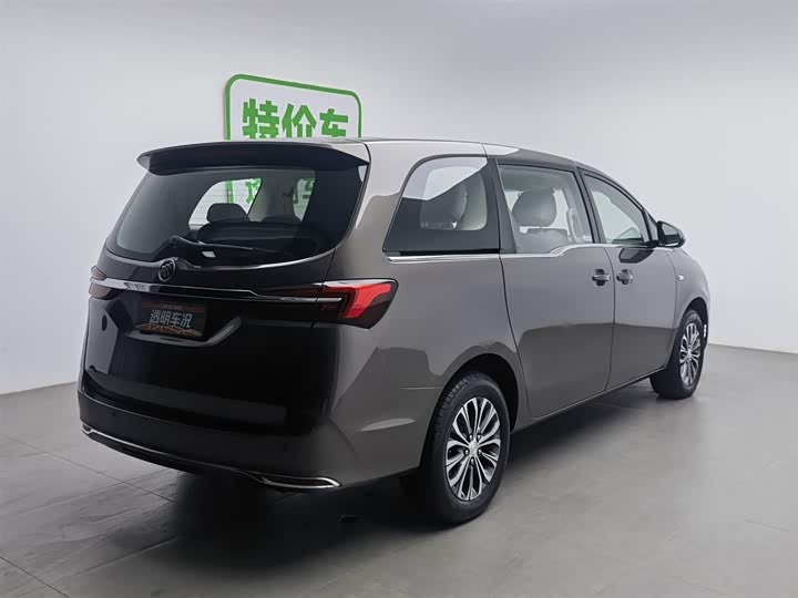 Фото 2 - Buick GL8 ES