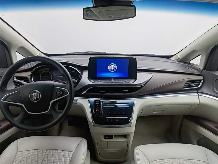 Фото 5 - Buick GL8 ES