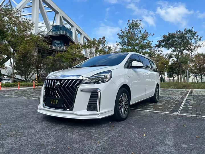 Фото 1 - Buick GL8 ES