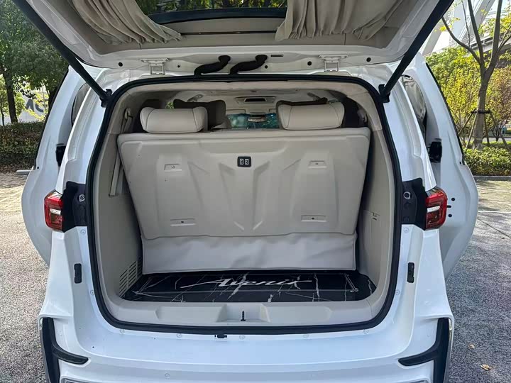 Фото 13 - Buick GL8 ES