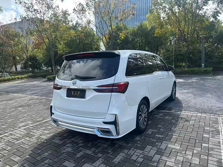 Фото 14 - Buick GL8 ES