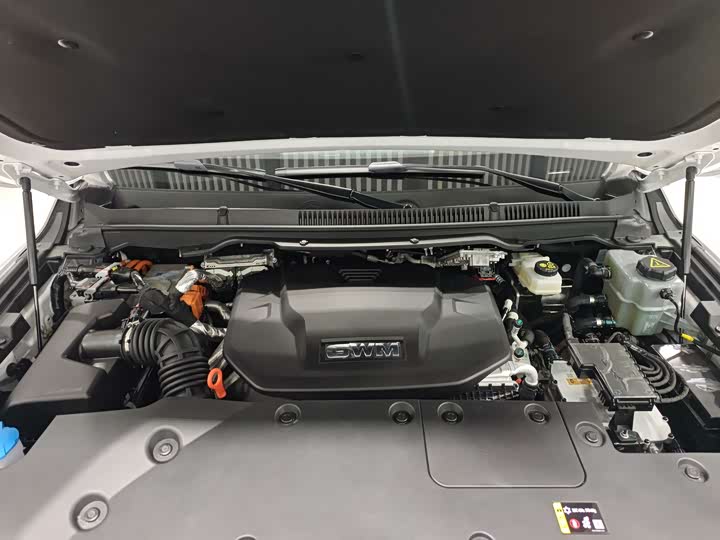 Фото 19 - Tank 500 Hybrid