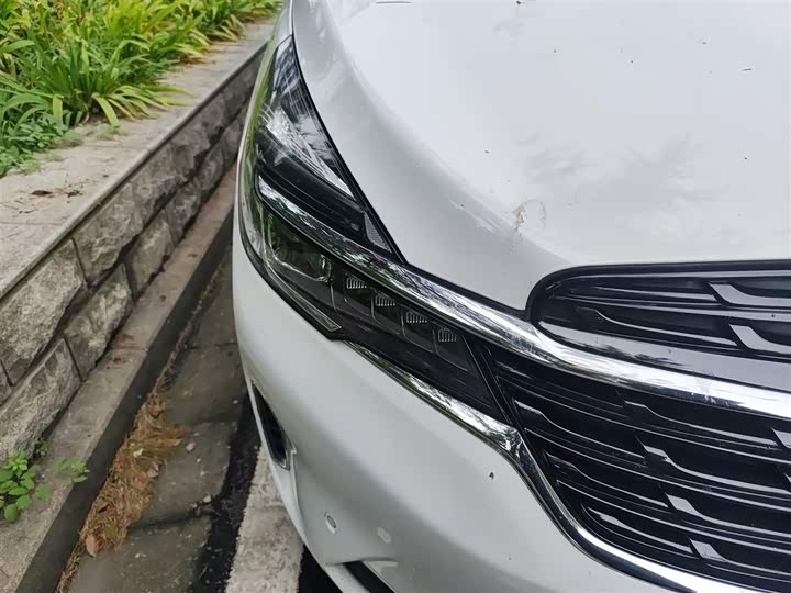 Фото 8 - Buick GL8 ES