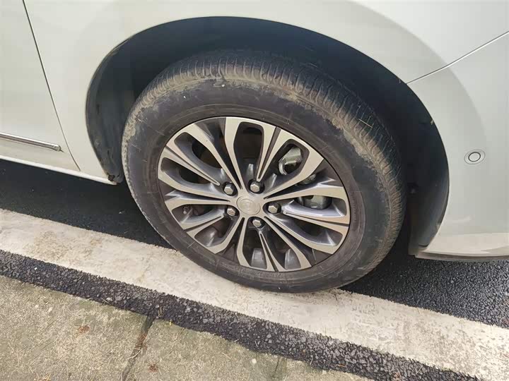 Фото 9 - Buick GL8 ES