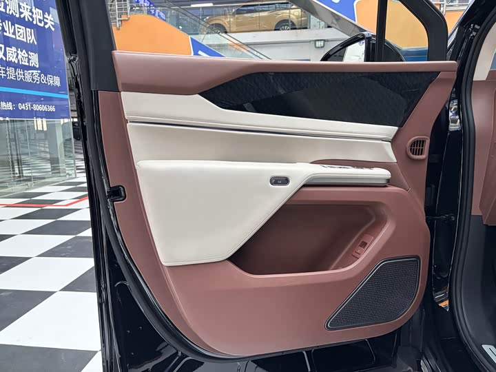 Фото 5 - BYD Xia