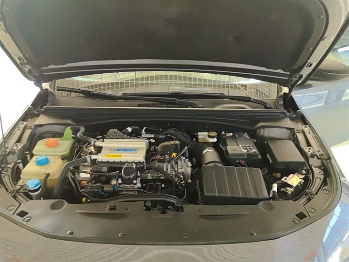 Фото 20 - GAC Trumpchi Empow R