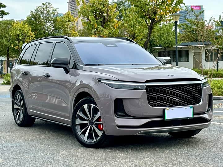 Фото 3 - LiXiang One