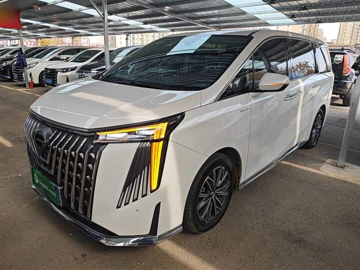 Фото 1 - GAC Trumpchi M8