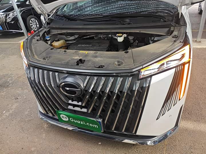 Фото 20 - GAC Trumpchi M8