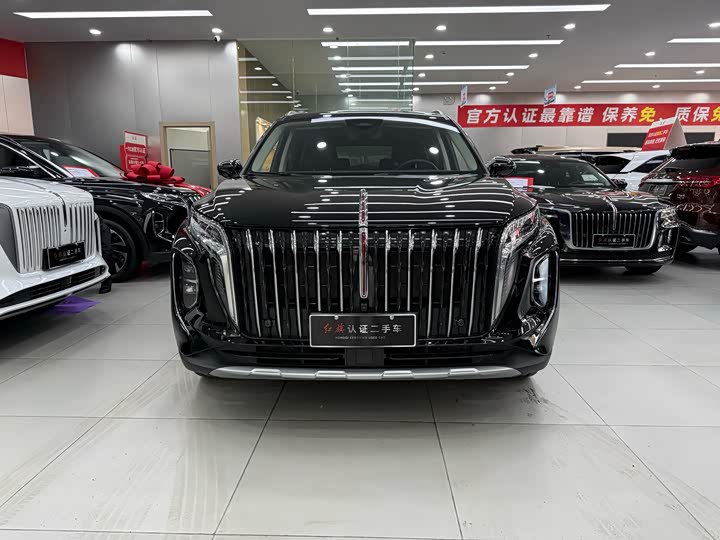 Фото 3 - Hongqi HS7 Hybrid