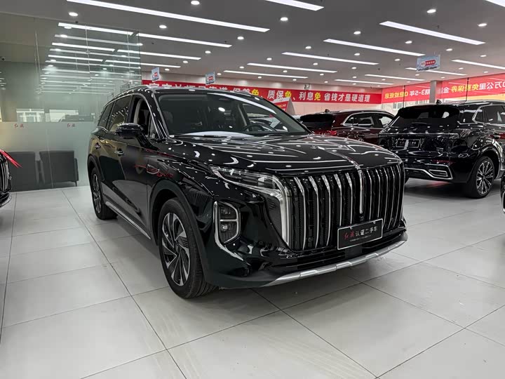Фото 4 - Hongqi HS7 Hybrid
