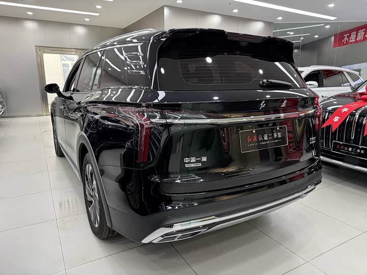 Фото 7 - Hongqi HS7 Hybrid