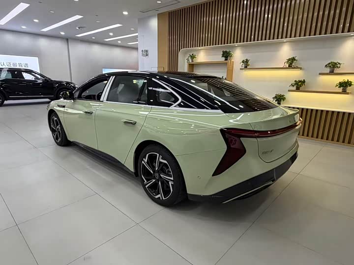 Фото 7 - Hongqi EH7