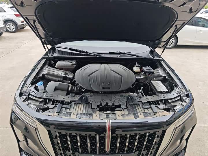 Фото 20 - Hongqi H9