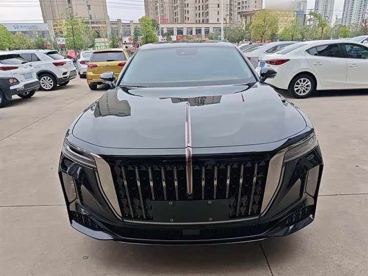 Фото 3 - Hongqi H9