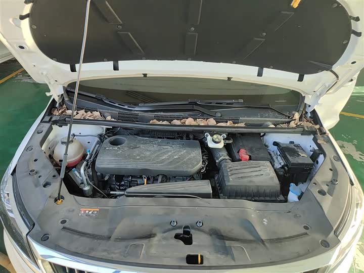 Фото 22 - Geely Jiaji