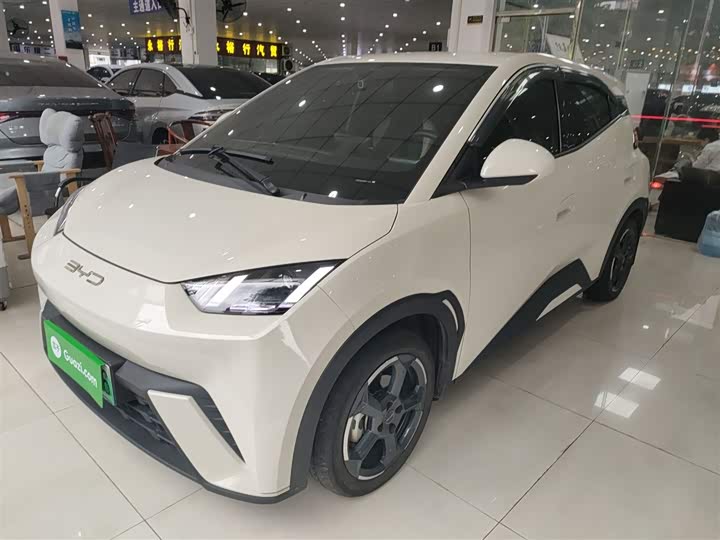 Фото 1 - BYD Seagull