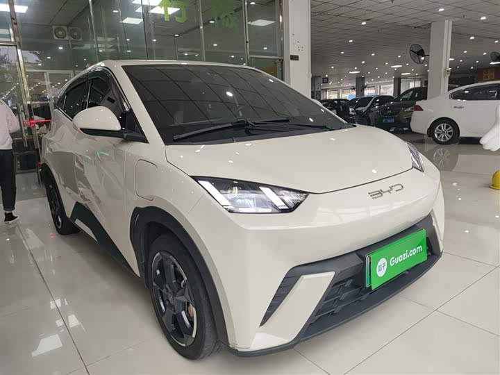 Фото 4 - BYD Seagull