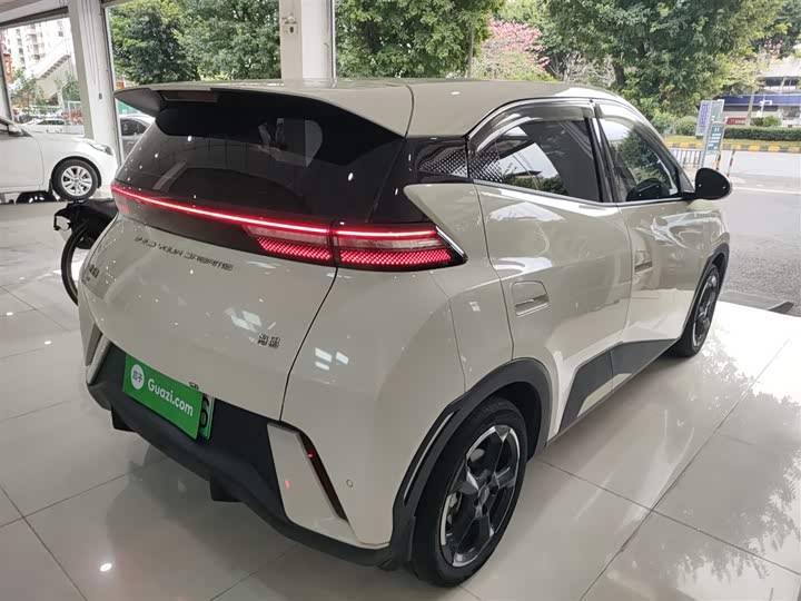 Фото 7 - BYD Seagull