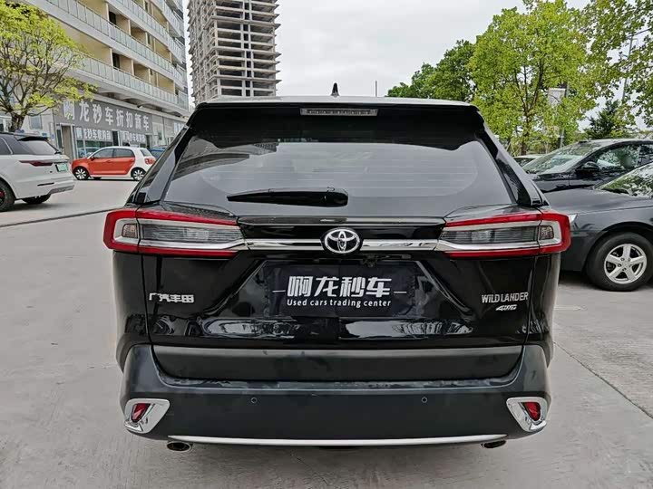 Фото 4 - Toyota Wildlander