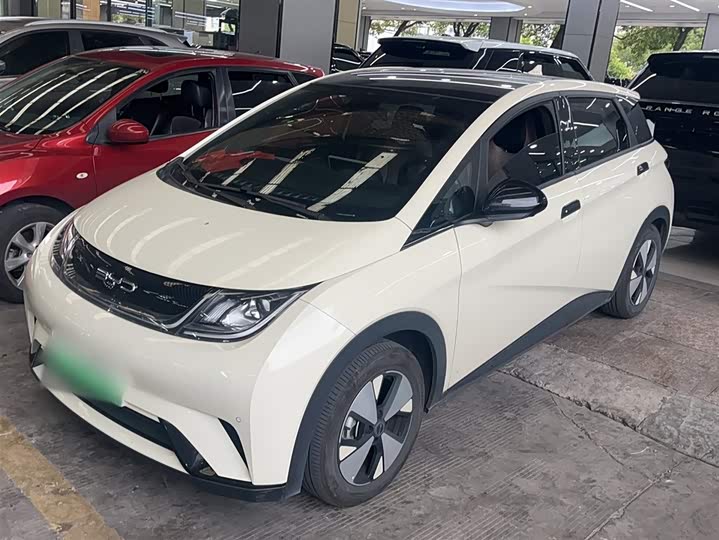 Фото 1 - BYD Dolphin