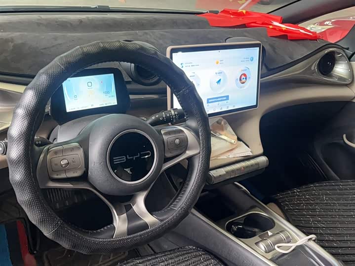 Фото 10 - BYD Dolphin