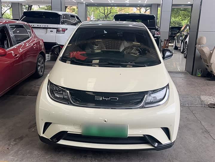 Фото 3 - BYD Dolphin