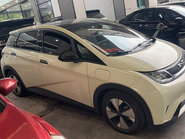 Фото 4 - BYD Dolphin