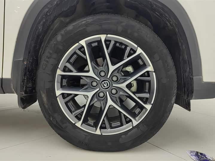 Фото 6 - Changan CS75 Plus